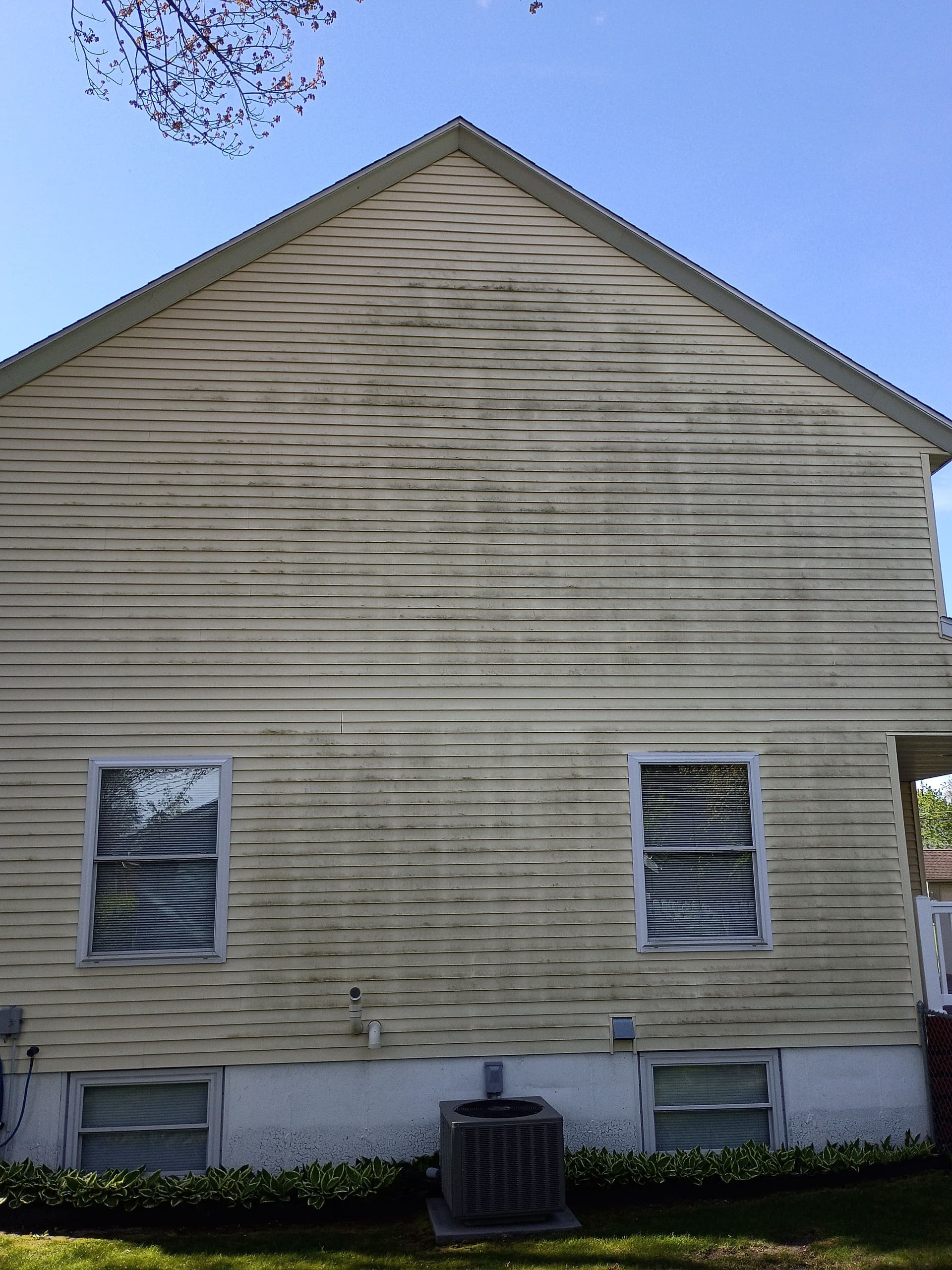 Port Huron House Wash Clears Years of Algae and Rust image