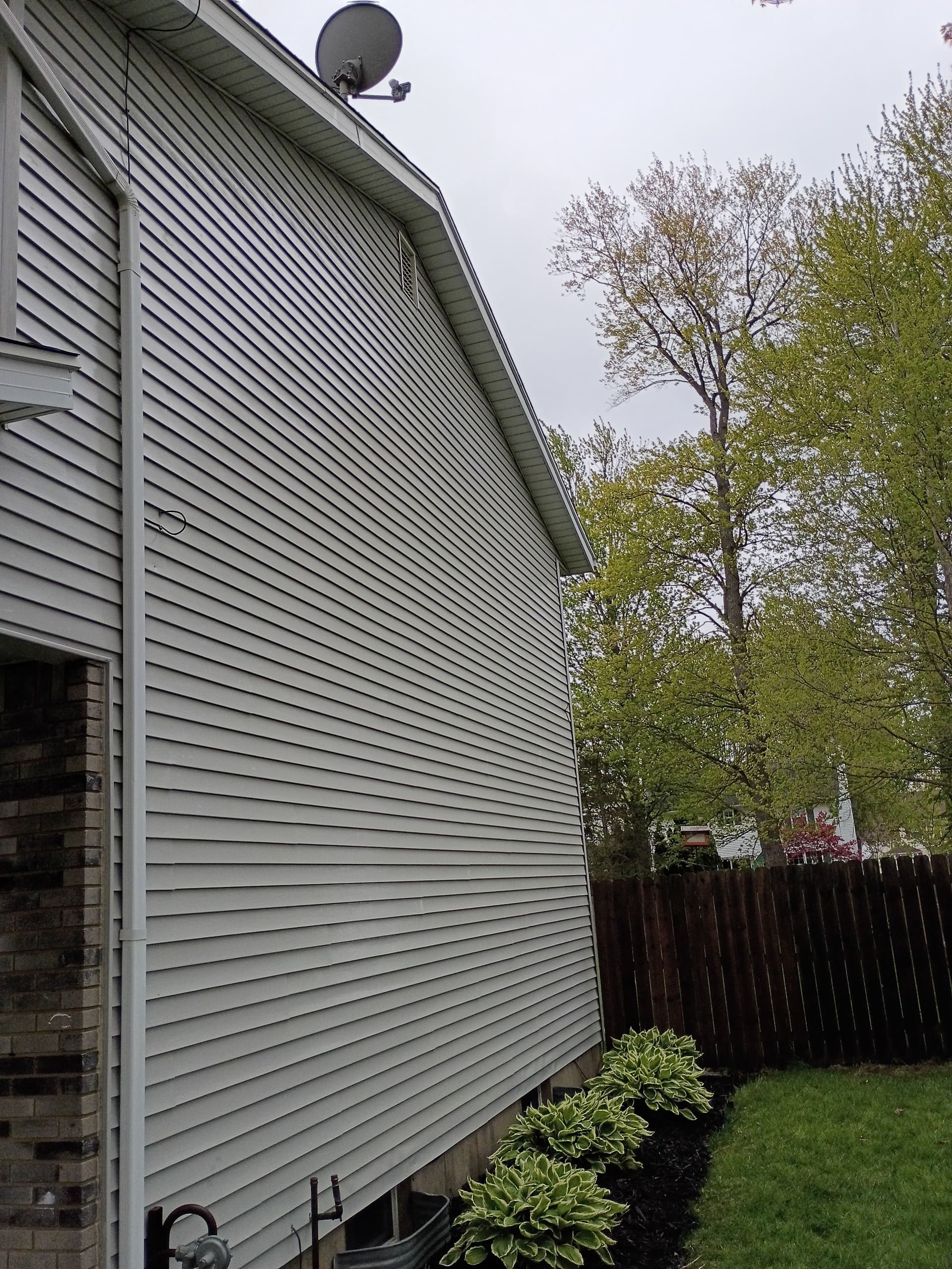 Gallery photos for House Wash Clears Algae and Dull Siding in Marysville: Image #2