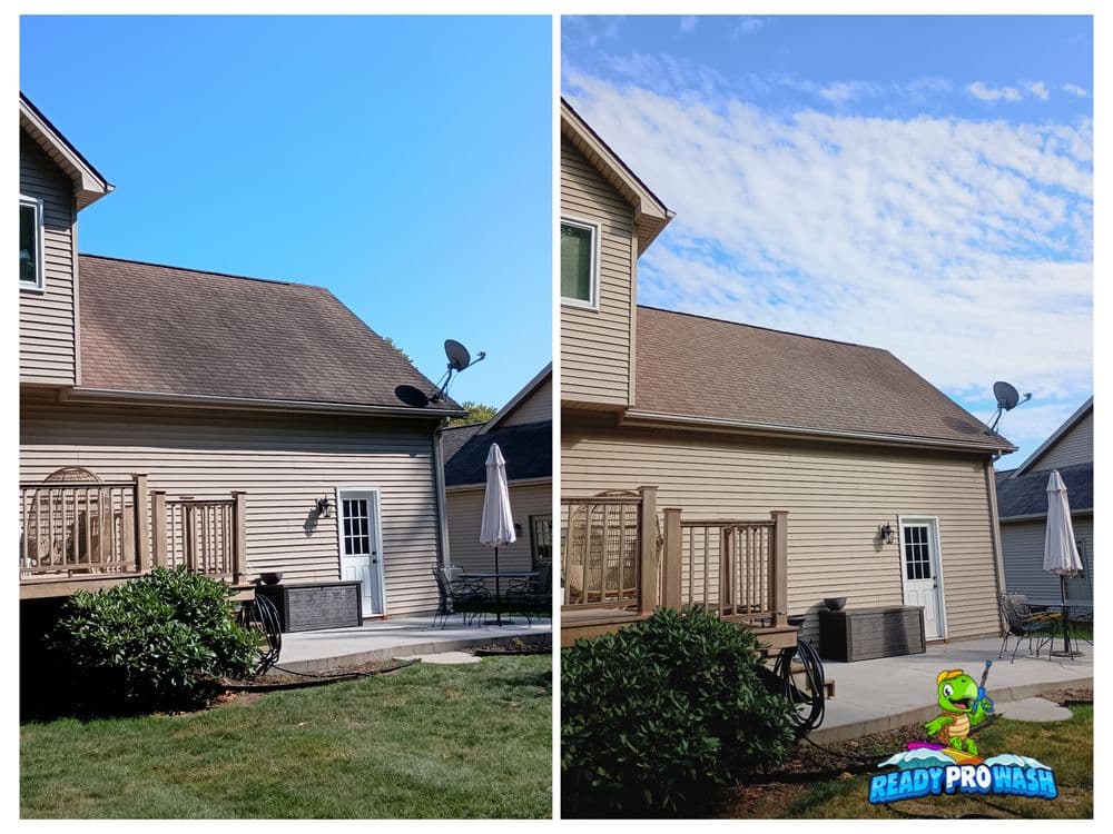 Commercial building exterior gleaming after expert washing.