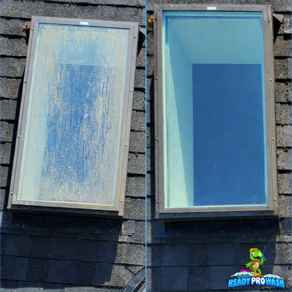Before and after window cleaning showing clear glass and improved visibility.